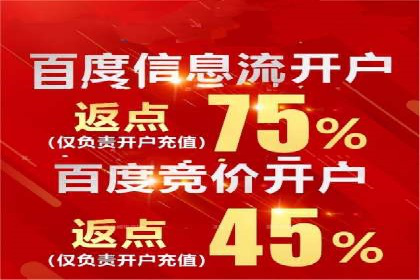 优化SEM广告投放：成功案例分享